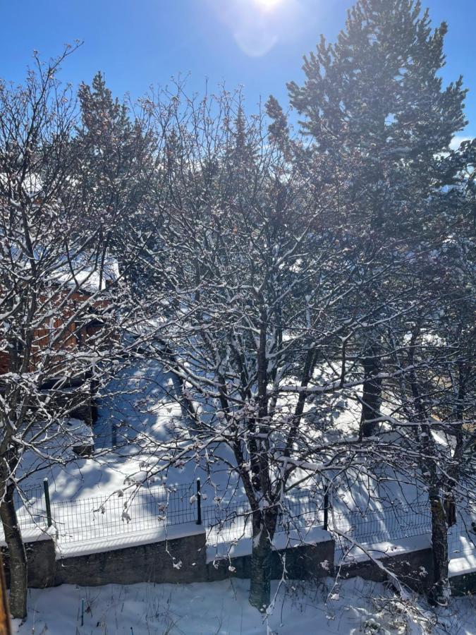Chalet Isard Pyrenees 2000 - 300M Des Pistes Bolquere Pyrenees 2000 المظهر الخارجي الصورة