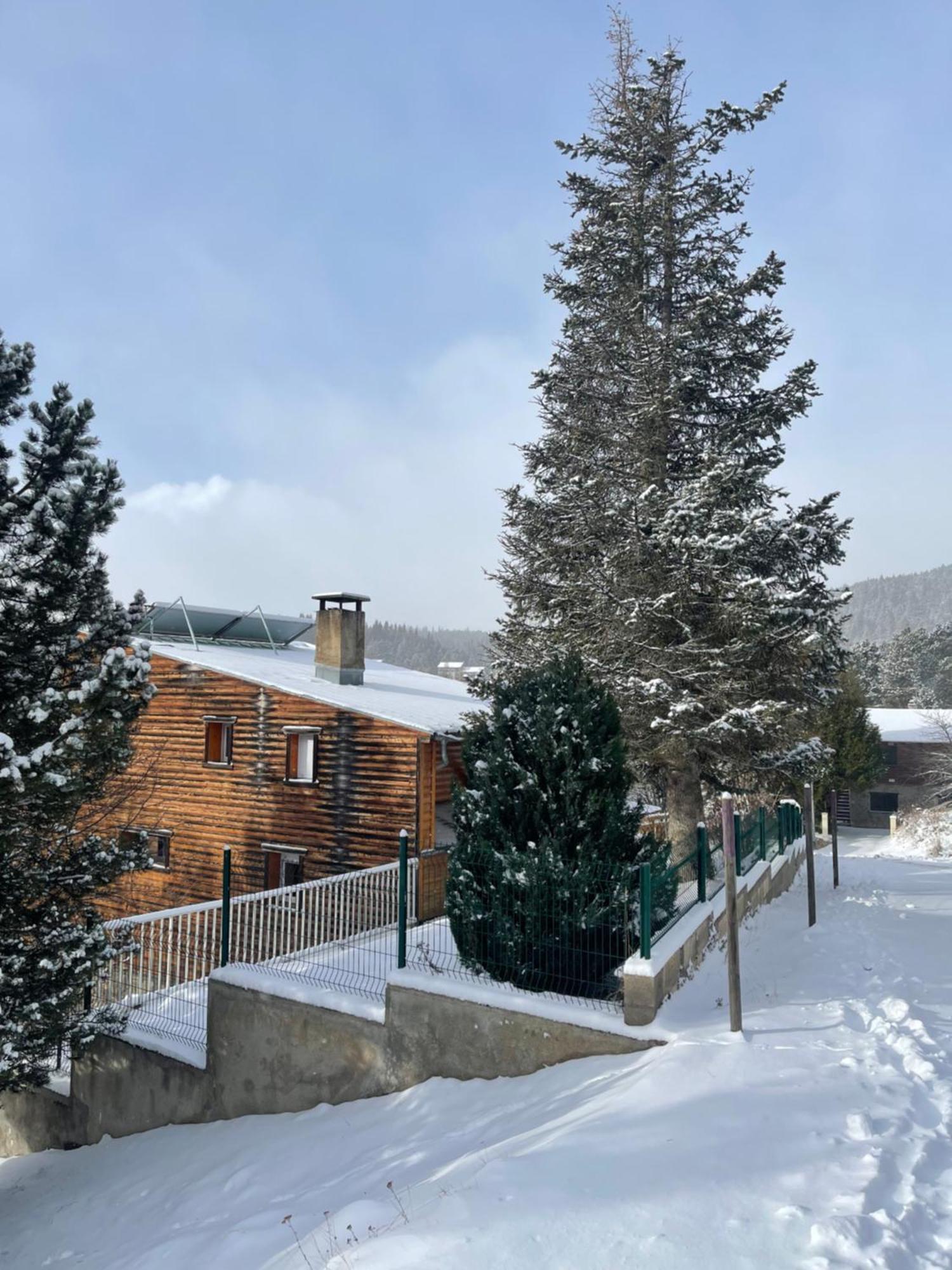 Chalet Isard Pyrenees 2000 - 300M Des Pistes Bolquere Pyrenees 2000 المظهر الخارجي الصورة